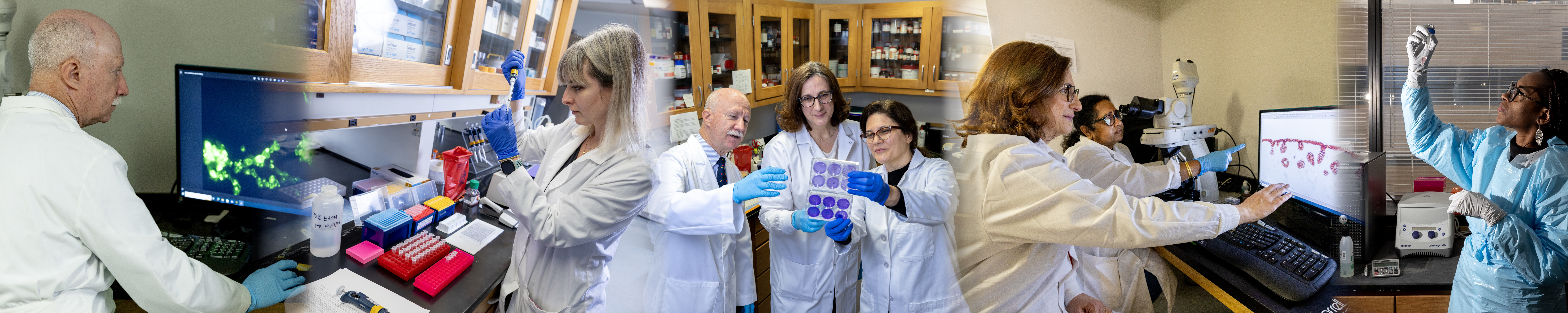 People working in lab